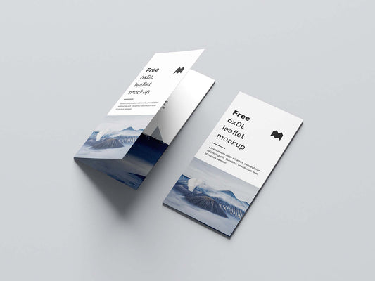 Art Paper Flyer 11.5"x18" - 100 GSM